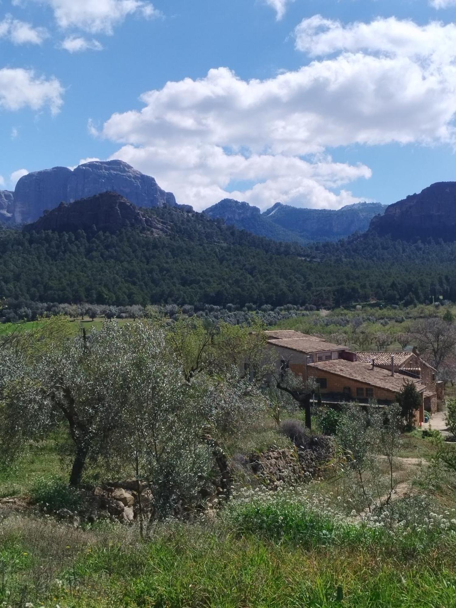 Apartamento Mas De Manresa Horta de Sant Joan Exterior foto