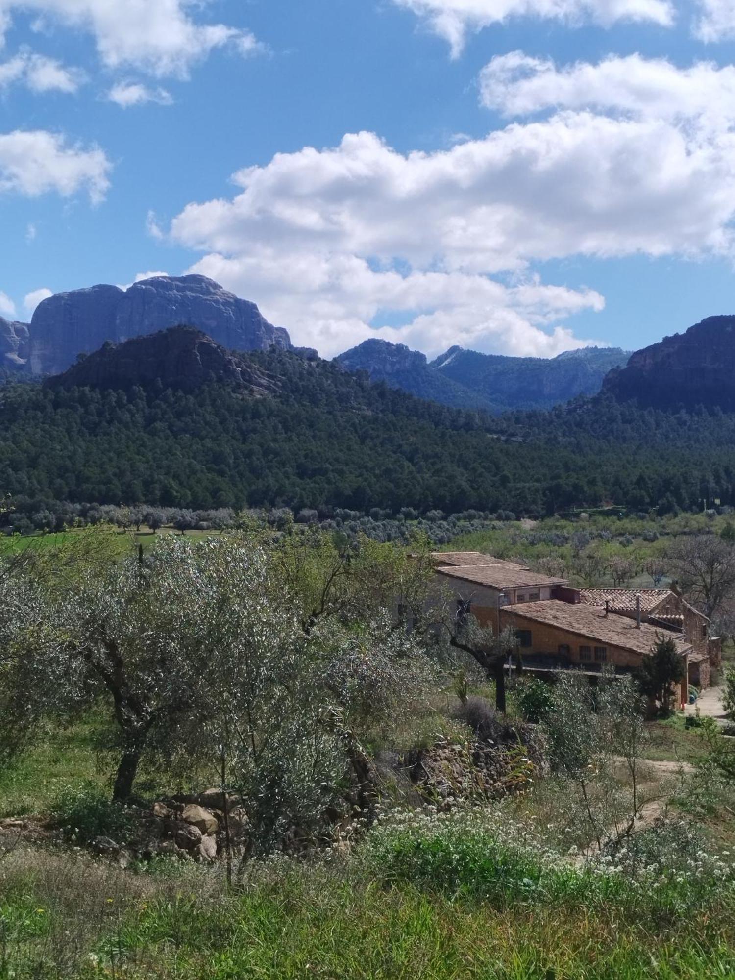Apartamento Mas De Manresa Horta de Sant Joan Exterior foto